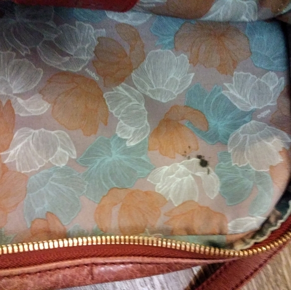 Hobo The Original - Picture 4 of 4